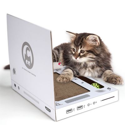 IntiMeg Grattoir pour ordinateur portable