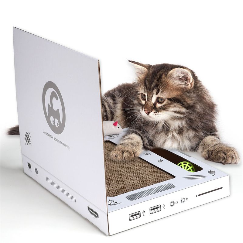 IntiMeg Grattoir pour ordinateur portable