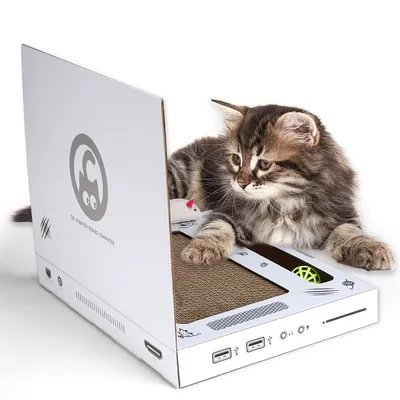 IntiMeg Grattoir pour ordinateur portable
