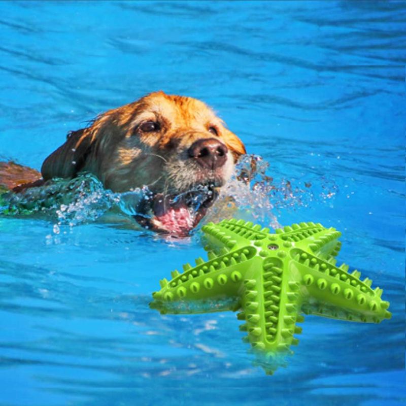 UAMLY Jouets à mâcher pour chiens