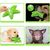 UAMLY Jouets à mâcher pour chiens