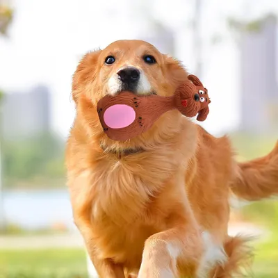 Petopia Jouet en latex sonore pour chien en forme d'éléphant et de taureau