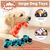 IntiMeg Jouets à mâcher pour grands chiens lot de 2