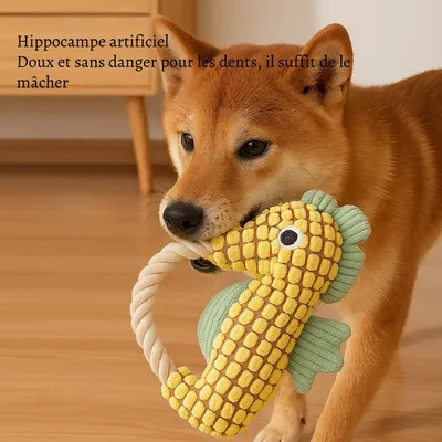 Petopia Jouet en forme d'ananas sonore pour chien