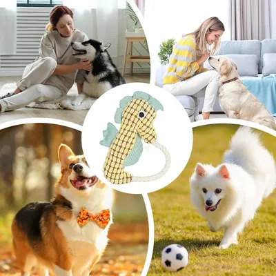 Petopia Jouet en forme d'ananas sonore pour chien