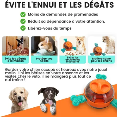 IntiMeg Jouet Ball en TPR pour chien,Pour nettoyer les dents
