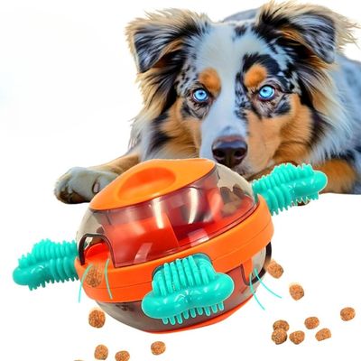 IntiMeg Jouet Ball en TPR pour chien,Pour nettoyer les dents