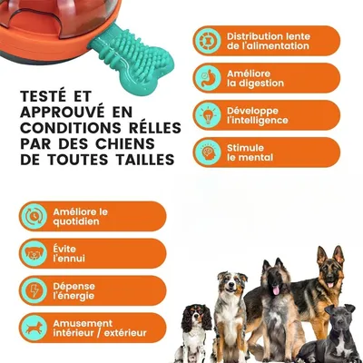 IntiMeg Jouet Ball en TPR pour chien,Pour nettoyer les dents
