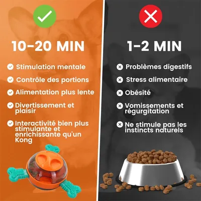 IntiMeg Jouet Ball en TPR pour chien,Pour nettoyer les dents