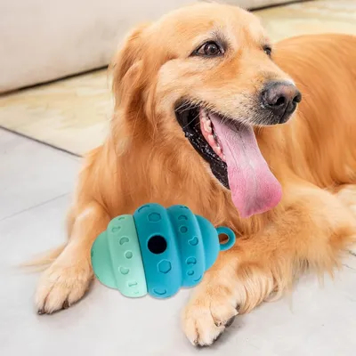 Petopia Distributeur de friandises pour chien