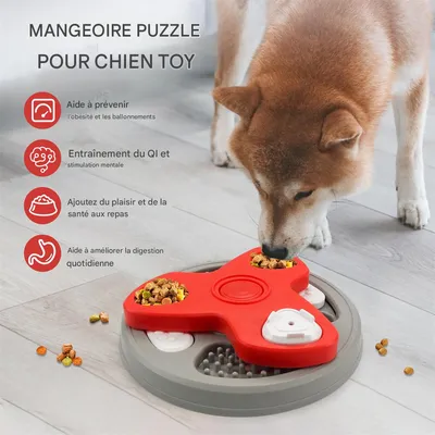 IntiMeg Gamelle éducative Slow Food pour chien