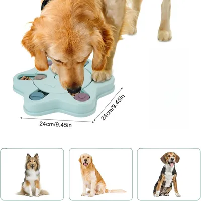 Petopia Jouet intelligent pour chien
