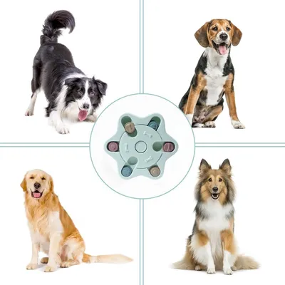 Petopia Jouet intelligent pour chien