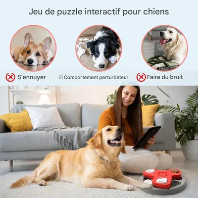 IntiMeg Gamelle éducative Slow Food pour chien