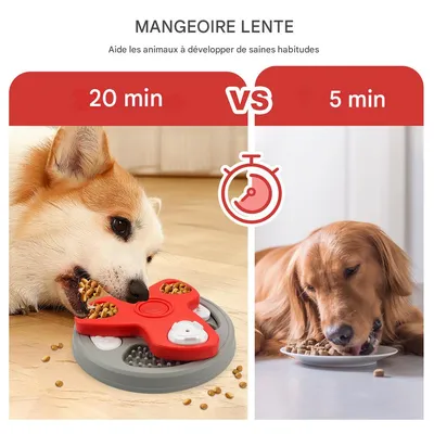 IntiMeg Gamelle éducative Slow Food pour chien