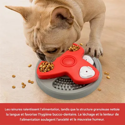 IntiMeg Gamelle éducative Slow Food pour chien