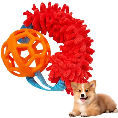 IntiMeg Balle creuse en TPR pour chien