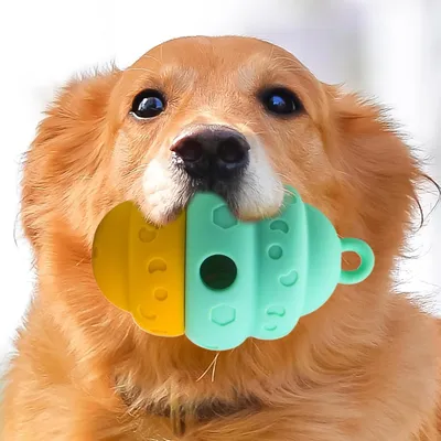 Petopia Distributeur de friandises pour chien