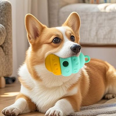 Petopia Distributeur de friandises pour chien