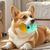 Petopia Distributeur de friandises pour chien