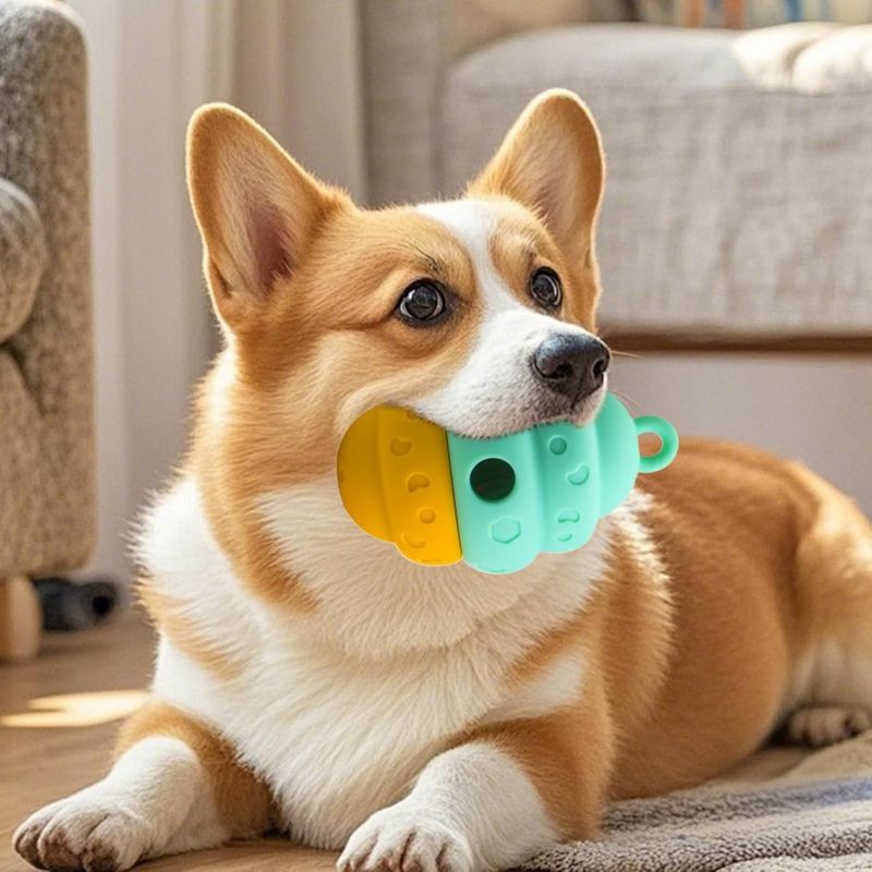 Petopia Distributeur de friandises pour chien