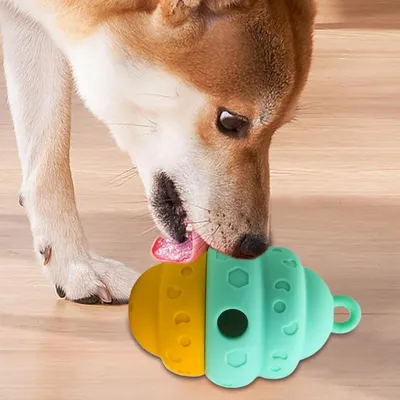 Petopia Distributeur de friandises pour chien