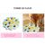 IntiMeg Puppy Puzzle Toys pour chien