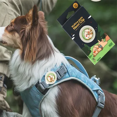 IntiMeg Collier anti - moustiques pour chien et chat