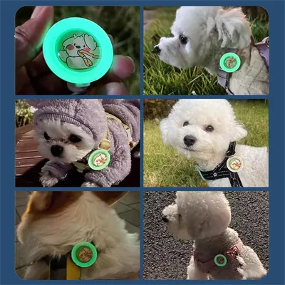 IntiMeg Collier anti - moustiques pour chien et chat