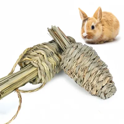 FurryFusion Lot de 3 jouets Plant Carrot