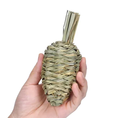 FurryFusion Lot de 3 jouets Plant Carrot