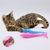 IntiMeg Brosse à dents pour chat