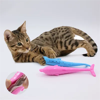 IntiMeg Brosse à dents pour chat
