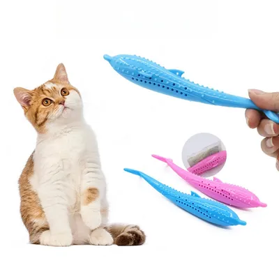 IntiMeg Brosse à dents pour chat