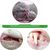 IntiMeg Lot de 2 brosses à dents pour chat en forme d'écrevisses