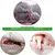 IntiMeg Lot de 2 brosses à dents pour chat en forme d'écrevisses
