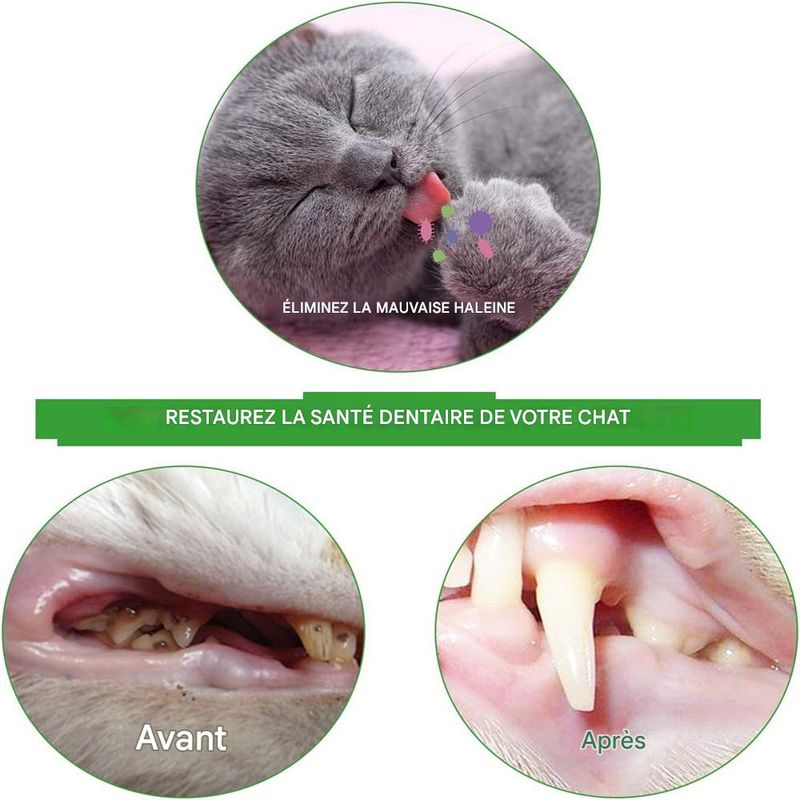 IntiMeg Lot de 2 brosses à dents pour chat en forme d'écrevisses
