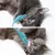 IntiMeg Lot de 2 brosses à dents pour chat en forme d'écrevisses