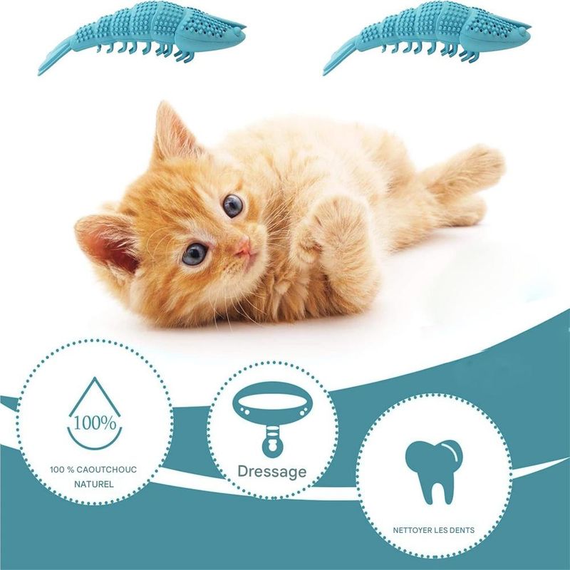 IntiMeg Lot de 2 brosses à dents pour chat en forme d'écrevisses