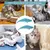 IntiMeg Lot de 2 brosses à dents pour chat en forme d'écrevisses