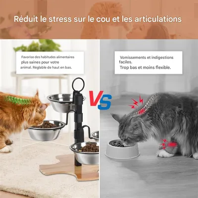 IntiMeg Gamelle surélevée pour chat,Livré avec quatre bols