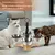 IntiMeg Gamelle surélevée pour chat,Livré avec quatre bols