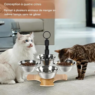 IntiMeg Gamelle surélevée pour chat,Livré avec quatre bols