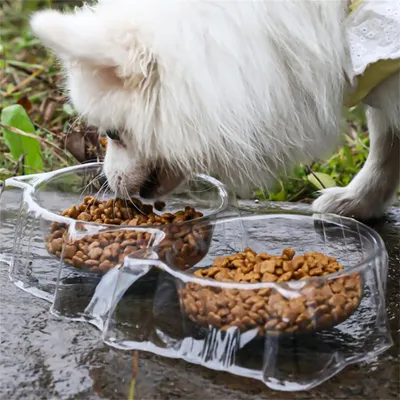 IntiMeg Gamelles jetables anti - fourmis pour chien et chat
