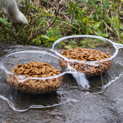 IntiMeg Gamelles jetables anti - fourmis pour chien et chat