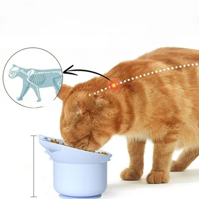 Petopia Gamelle surélevée à alimentation lente pour chat