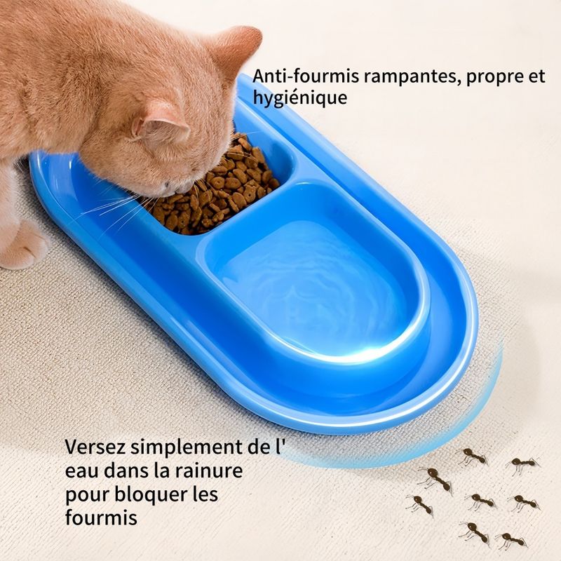 FurryFusion Gamelle anti-fourmis pour chat
