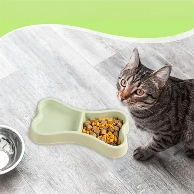 Petopia Double gamelle en forme d'os pour chien