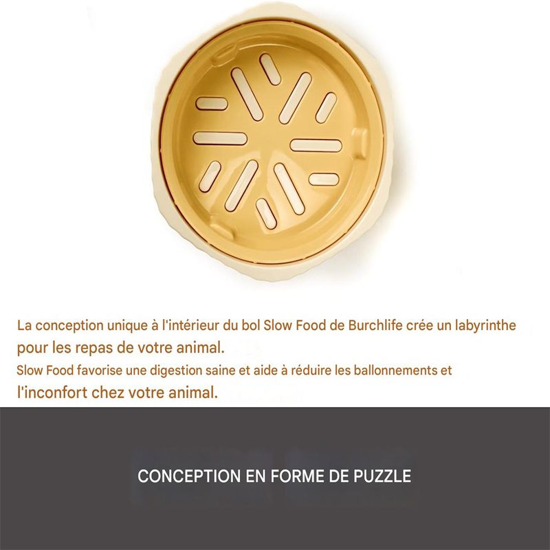 ZenPets Gamelle multifonctionnelle pour chien et chat