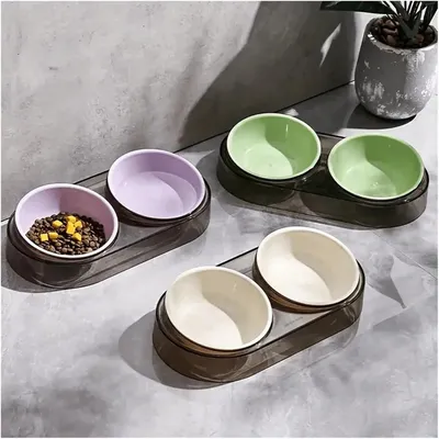 UAMLY Mangeoire surélevée à double bol pour animaux de compagnie